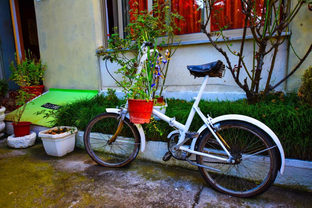 Lovely Apartment W/ Ac + Bath. + Kitchen + Parking And Garden Shkodër Екстериор снимка